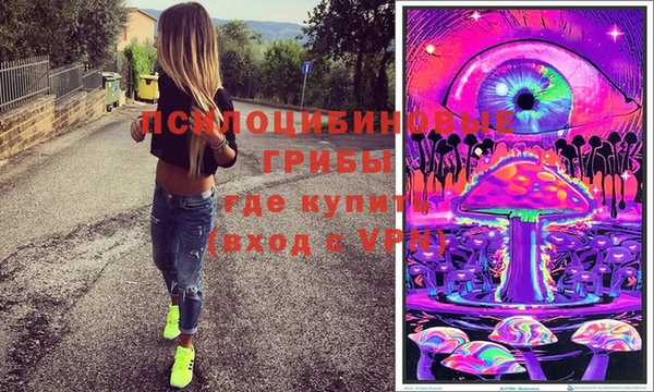 таблы Богданович