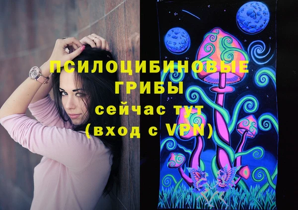таблы Богданович